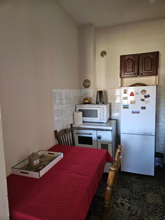 Apartman Gajic Apartment Nikšić Exterior foto